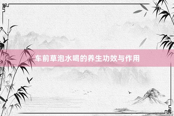 车前草泡水喝的养生功效与作用
